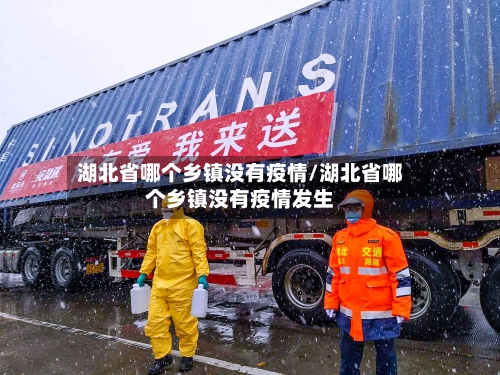 湖北省哪个乡镇没有疫情/湖北省哪个乡镇没有疫情发生-第1张图片