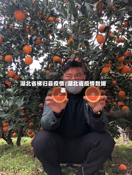 湖北省梯归县疫情/湖北省疫情数据表-第2张图片