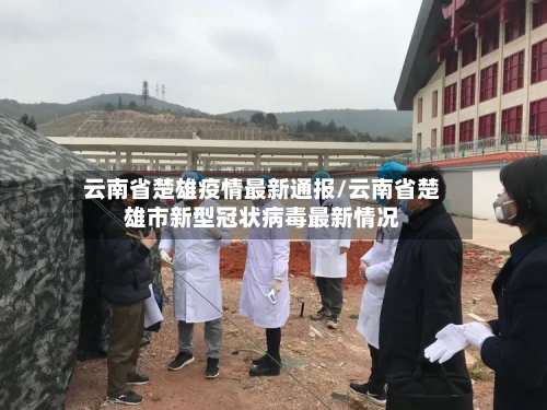 云南省楚雄疫情最新通报/云南省楚雄市新型冠状病毒最新情况-第2张图片