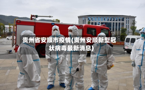 贵州省安顺市疫情(贵州安顺新型冠状病毒最新消息)-第2张图片