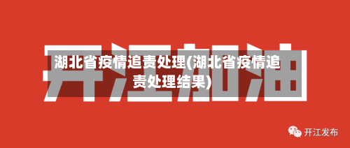湖北省疫情追责处理(湖北省疫情追责处理结果)-第2张图片