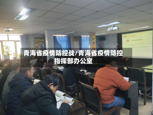 青海省疫情防控战/青海省疫情防控指挥部办公室-第1张图片