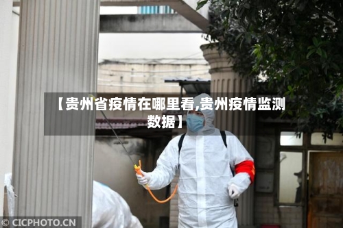 【贵州省疫情在哪里看,贵州疫情监测数据】-第2张图片
