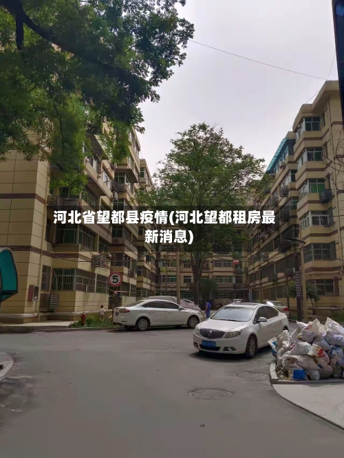 河北省望都县疫情(河北望都租房最新消息)-第3张图片