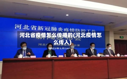 河北省疫情怎么传播的(河北疫情怎么传入)-第1张图片