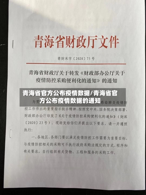 青海省官方公布疫情数据/青海省官方公布疫情数据的通知-第2张图片