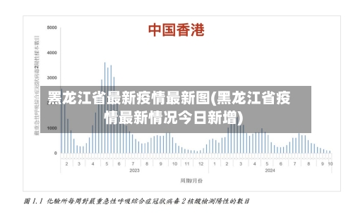 罴龙江省最新疫情最新图(黑龙江省疫情最新情况今日新增)-第1张图片
