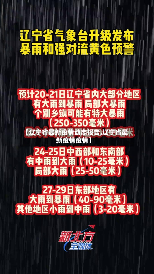 【辽宁省最新疫情动态报告,辽宁省最新疫情疫情】-第2张图片