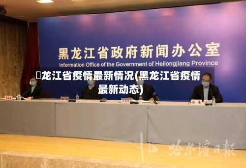 黒龙江省疫情最新情况(黑龙江省疫情最新动态)-第3张图片
