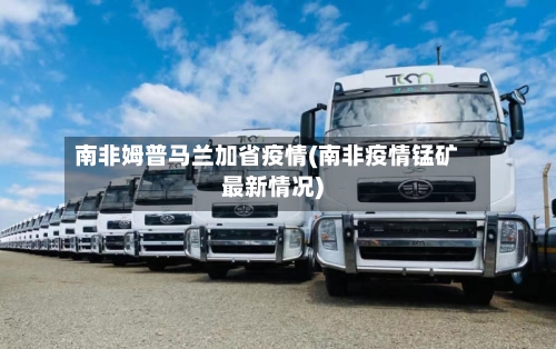 南非姆普马兰加省疫情(南非疫情锰矿最新情况)-第3张图片