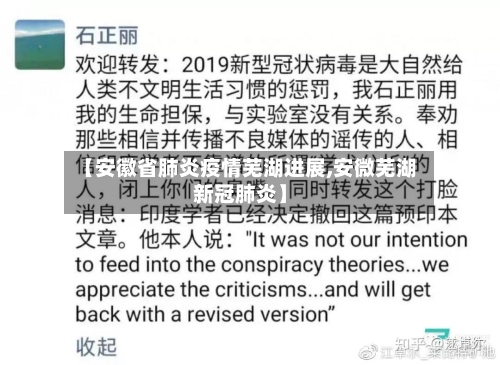 【安徽省肺炎疫情芜湖进展,安微芜湖新冠肺炎】-第3张图片