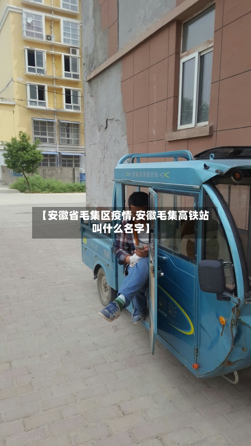 【安徽省毛集区疫情,安徽毛集高铁站叫什么名字】-第1张图片