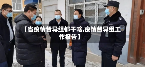 【省疫情督导组都干啥,疫情督导组工作报告】-第1张图片