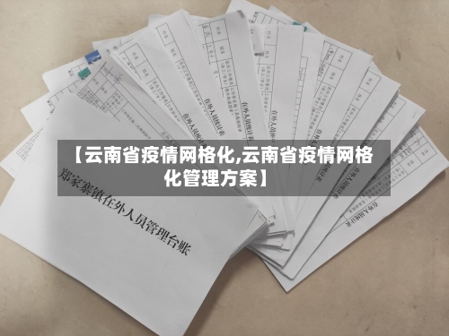 【云南省疫情网格化,云南省疫情网格化管理方案】-第2张图片