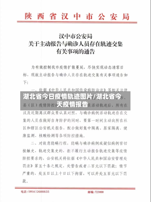 湖北省今日疫情轨迹图片/湖北省今天疫情报告-第1张图片