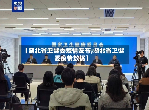 【湖北省卫建委疫情发布,湖北省卫健委疫情数据】-第2张图片