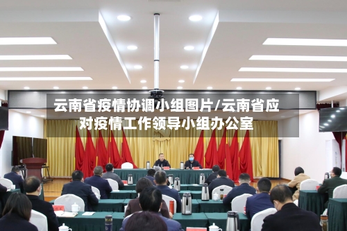 云南省疫情协调小组图片/云南省应对疫情工作领导小组办公室-第1张图片