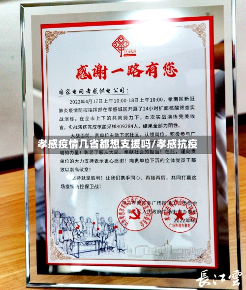 孝感疫情几省都想支援吗/孝感抗疫-第1张图片