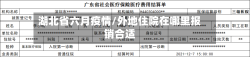 湖北省六月疫情/外地住院在哪里报销合适-第2张图片