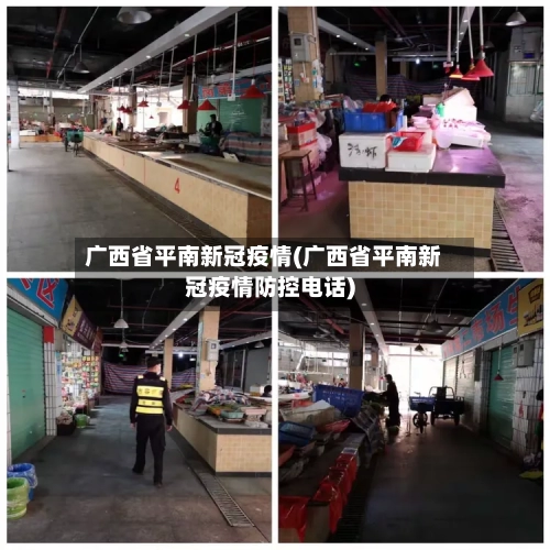 广西省平南新冠疫情(广西省平南新冠疫情防控电话)-第2张图片