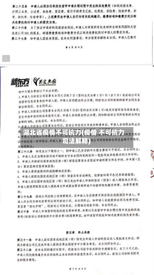 湖北省疫情不可抗力(疫情 不可抗力 司法解释)-第2张图片