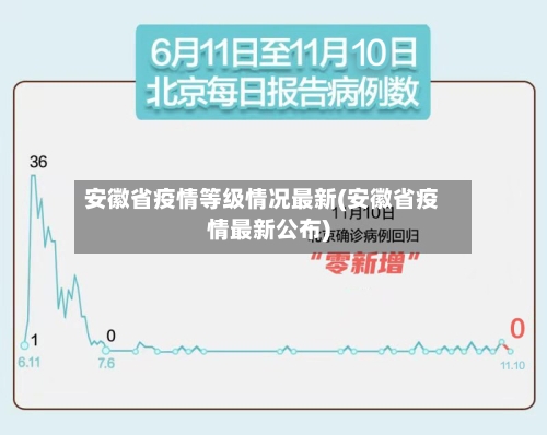 安徽省疫情等级情况最新(安徽省疫情最新公布)-第3张图片