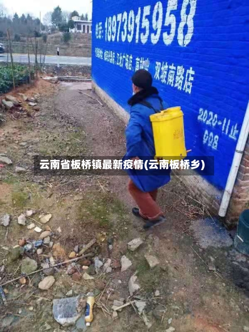 云南省板桥镇最新疫情(云南板桥乡)-第1张图片