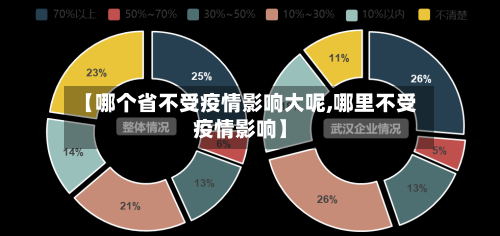 【哪个省不受疫情影响大呢,哪里不受疫情影响】-第2张图片