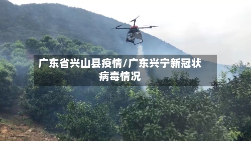 广东省兴山县疫情/广东兴宁新冠状病毒情况-第2张图片