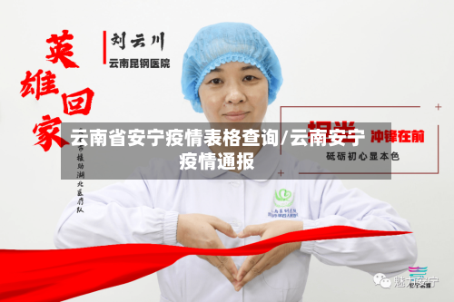 云南省安宁疫情表格查询/云南安宁疫情通报-第3张图片
