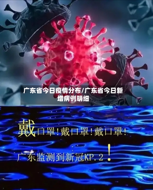 广东省今日疫情分布/广东省今日新增病例明细-第3张图片