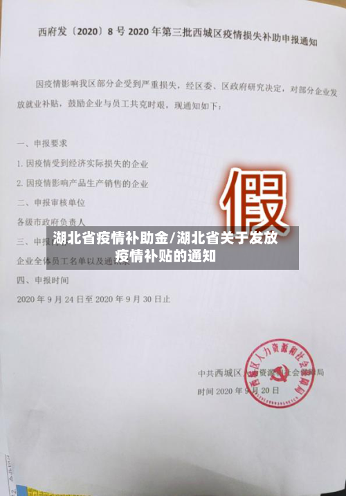 湖北省疫情补助金/湖北省关于发放疫情补贴的通知-第2张图片