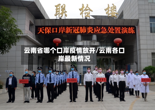 云南省哪个口岸疫情放开/云南各口岸最新情况-第1张图片