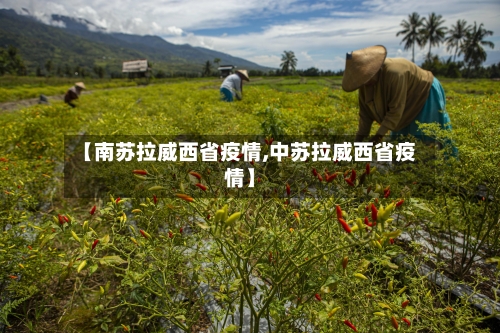 【南苏拉威西省疫情,中苏拉威西省疫情】-第2张图片