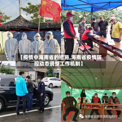 【疫情中海南省的措施,海南省疫情防控动态调整工作机制】-第3张图片