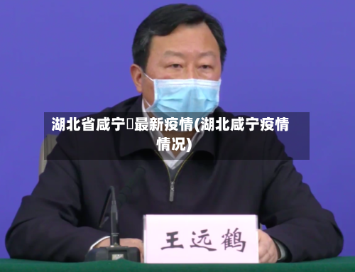 湖北省咸宁巿最新疫情(湖北咸宁疫情情况)-第3张图片