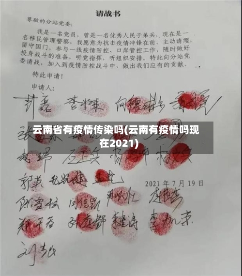云南省有疫情传染吗(云南有疫情吗现在2021)-第3张图片