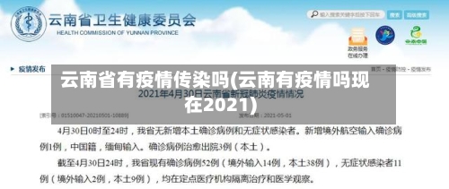 云南省有疫情传染吗(云南有疫情吗现在2021)-第1张图片