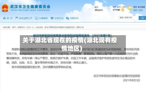 关于湖北省现在的疫情(湖北现有疫情地区)-第1张图片