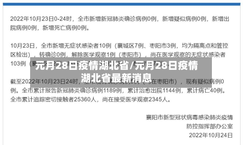 元月28日疫情湖北省/元月28日疫情湖北省最新消息-第1张图片