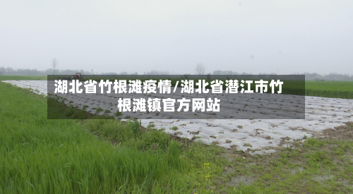 湖北省竹根滩疫情/湖北省潜江市竹根滩镇官方网站-第2张图片