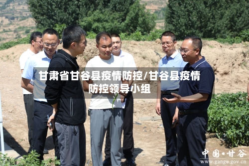 甘肃省甘谷县疫情防控/甘谷县疫情防控领导小组-第1张图片