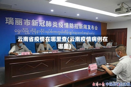 云南省疫情在哪里查(云南疫情病例在哪里)-第1张图片