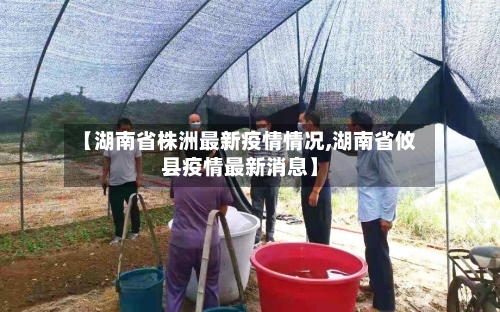 【湖南省株洲最新疫情情况,湖南省攸县疫情最新消息】-第2张图片