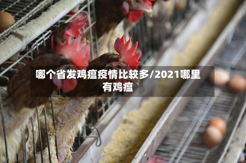 哪个省发鸡瘟疫情比较多/2021哪里有鸡瘟-第2张图片