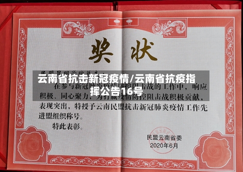 云南省抗击新冠疫情/云南省抗疫指挥公告16号-第3张图片