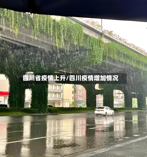 四川省疫情上升/四川疫情增加情况-第1张图片