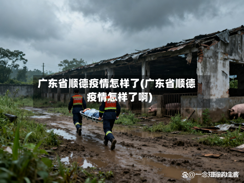 广东省顺德疫情怎样了(广东省顺德疫情怎样了啊)-第1张图片