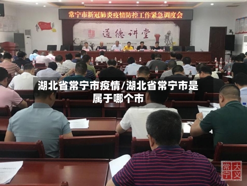 湖北省常宁市疫情/湖北省常宁市是属于哪个市-第3张图片
