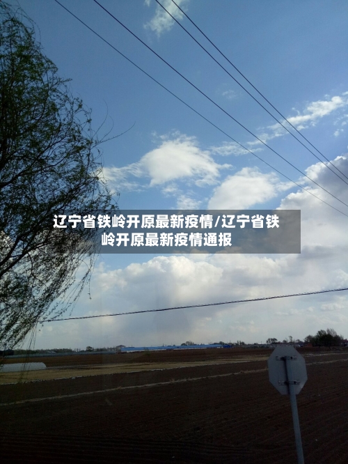 辽宁省铁岭开原最新疫情/辽宁省铁岭开原最新疫情通报-第2张图片